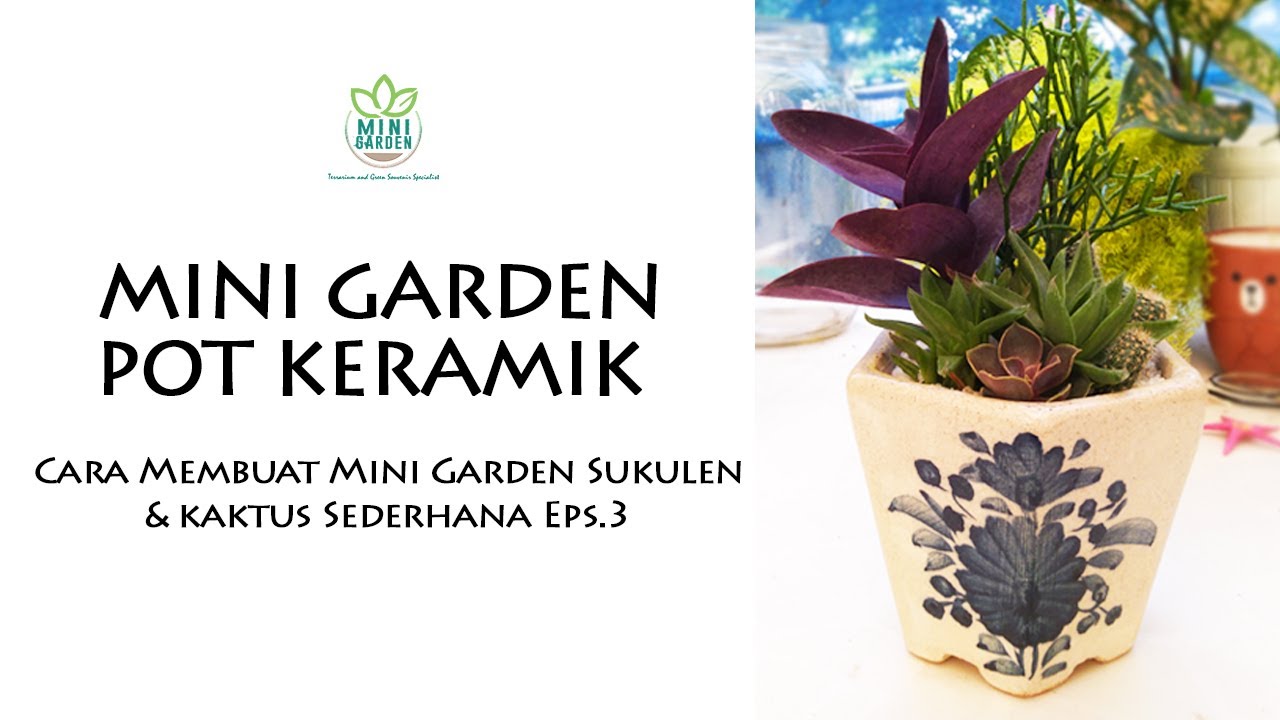 Mini Garden Pot Keramik | Cara Membuat Mini Garden Sukulen dan Kaktus Sederhana Eps. 3