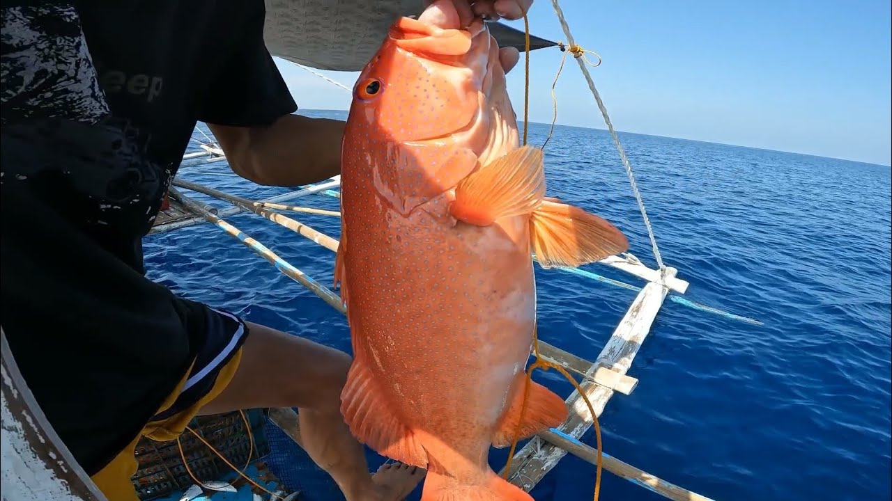 LAPU-LAPU naman | Long line fishing adventure | 4/25/23 p1