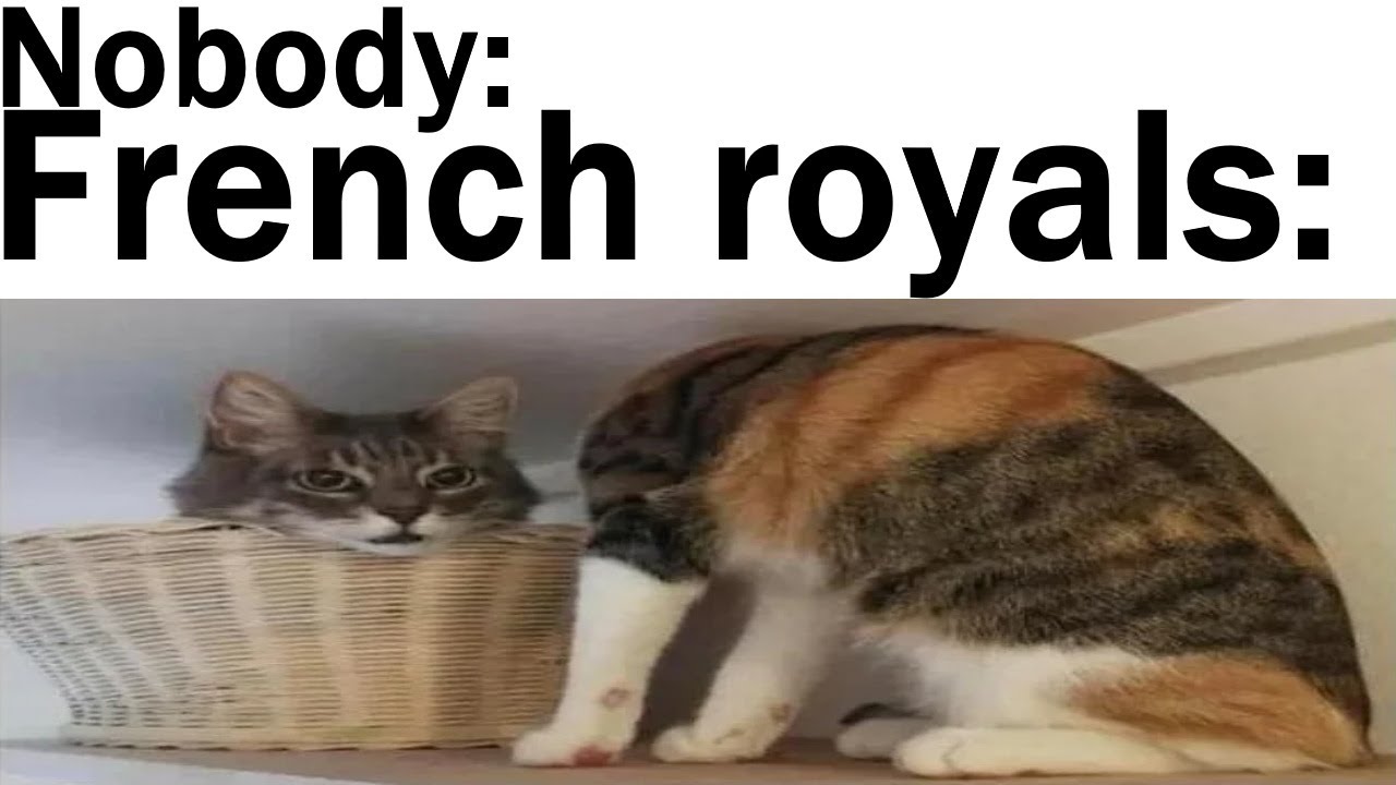 History Memes 180