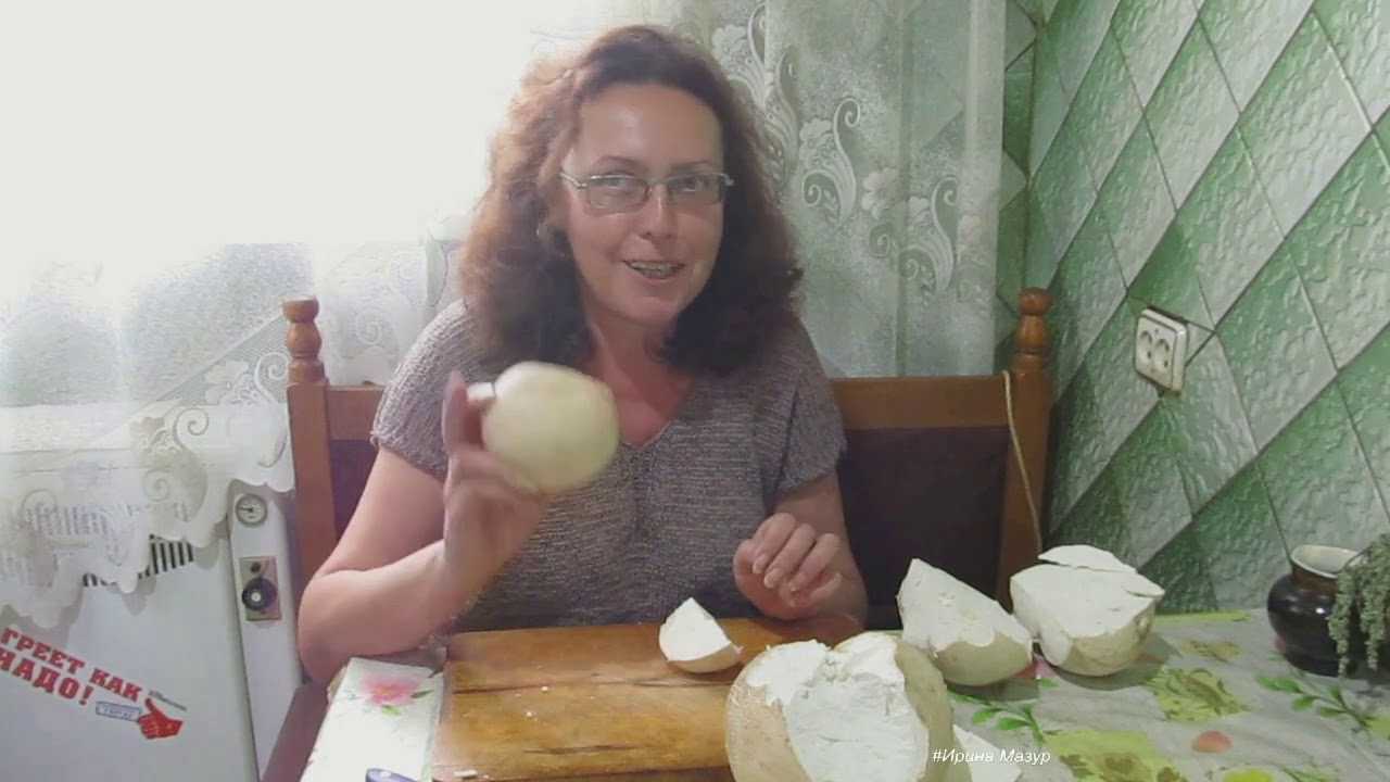 Дождевик гигантский. Готовим, пробуем!
