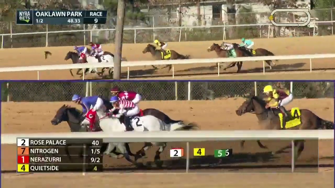 Обладательница премии Eclipse Award, лошадь NITROGEN, одержала победу в своем дебютном забеге сре...