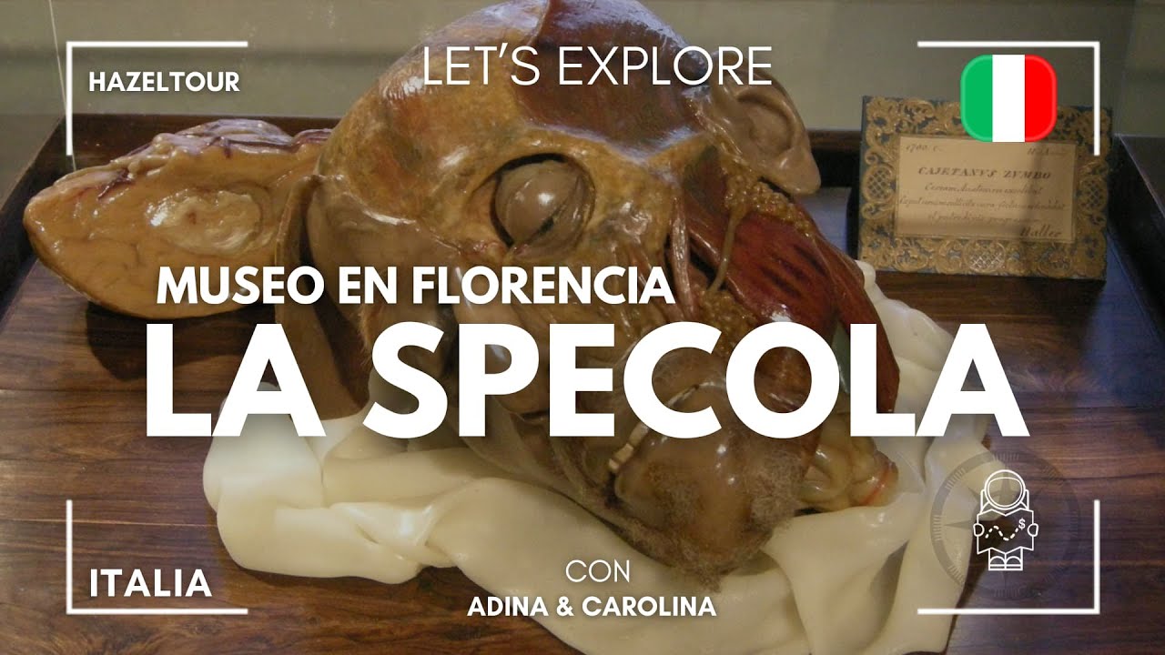 🇮🇹 Visitando la Specola y el Mercado Central 🧭 | HazelTour en Florencia