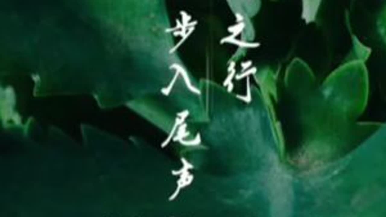 广西之行，步入尾声，美景连连，热情周到，今日达到百色市田阳区城区。#徒步环旅中国 #云游四海 #大美中国 #广西之行 #百色市