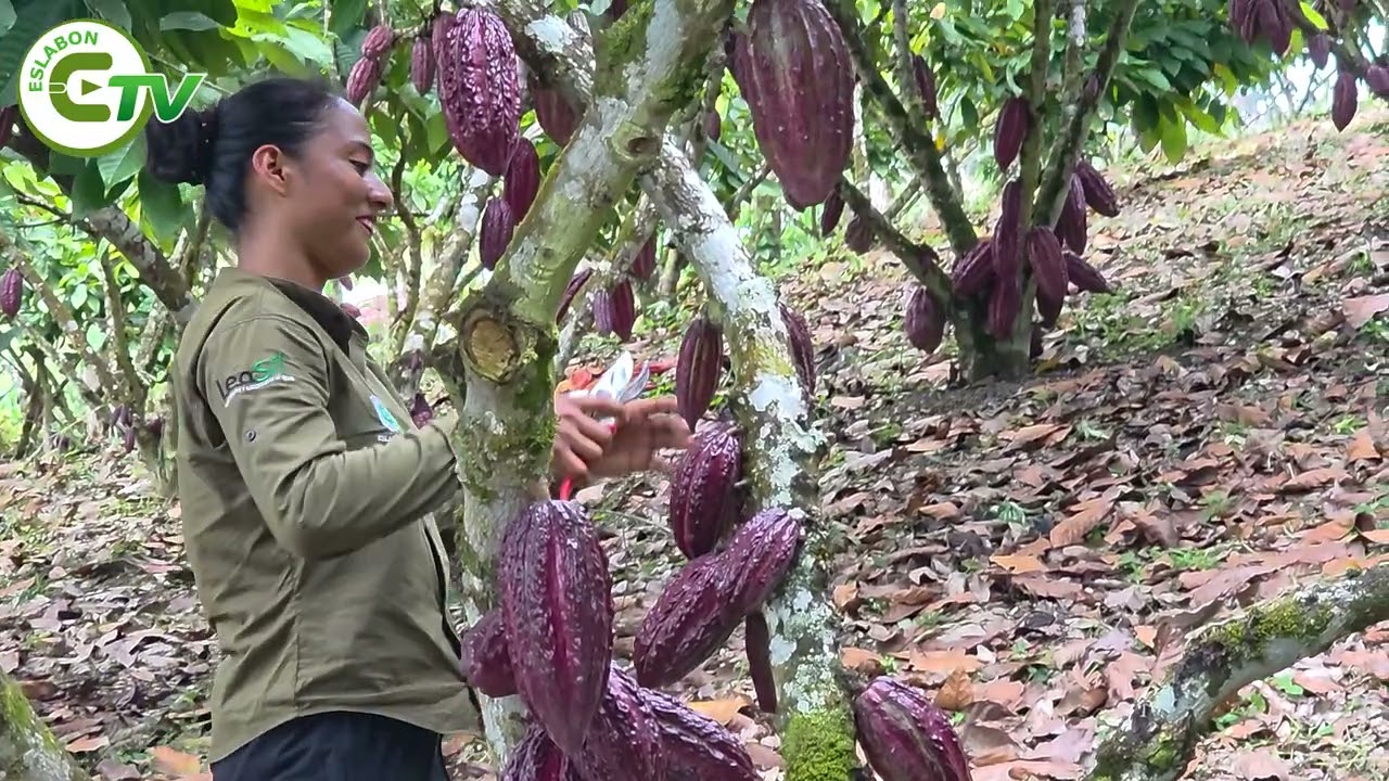 Las mujeres rurales continúan siendo un pilar fundamental del agro ecuatoriano.