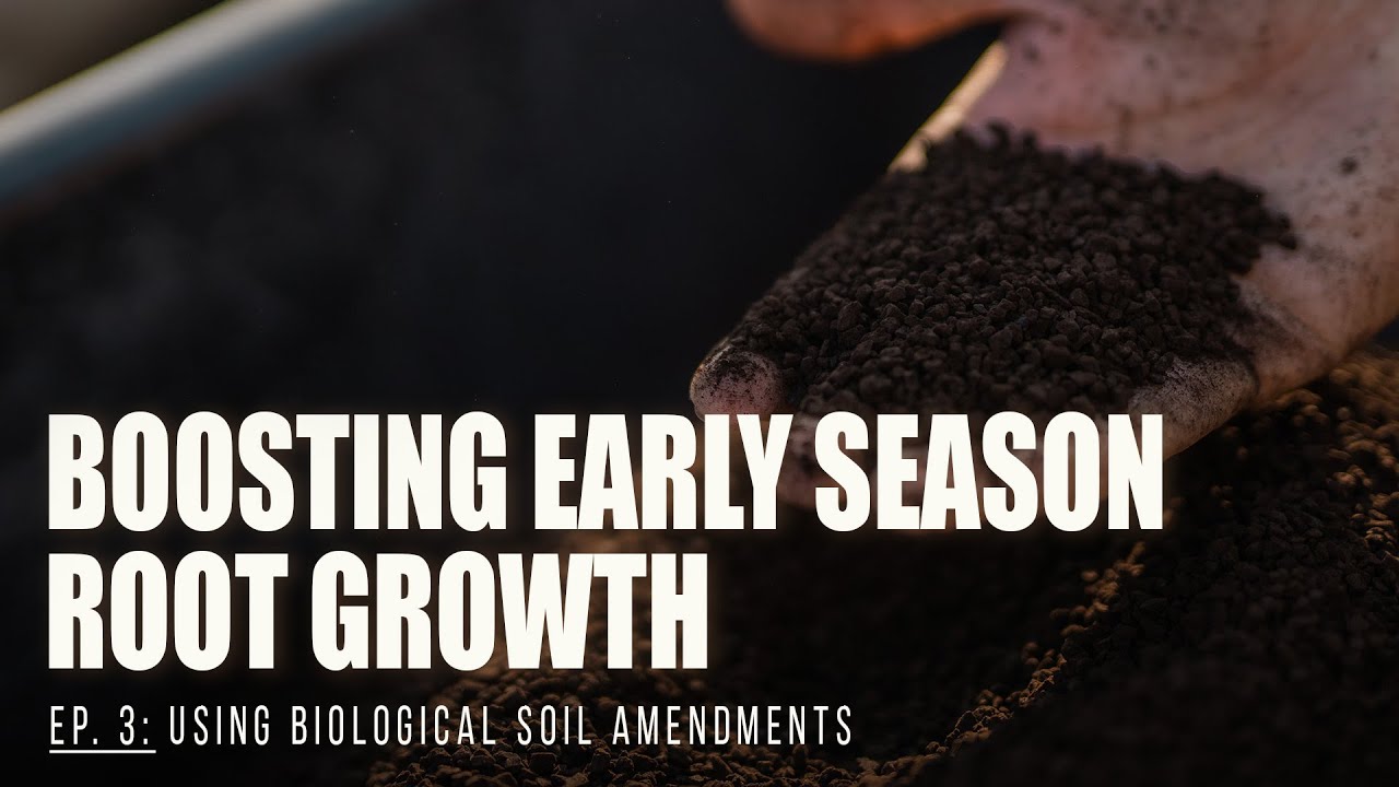 Using Biological Soil Amendments: EP 3 - BOOSTING EARLY SEASON ROOT GROWTH