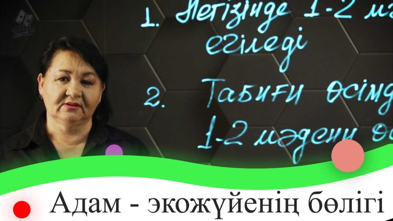 Адам - экожүйенің бөлігі. 7 сынып.