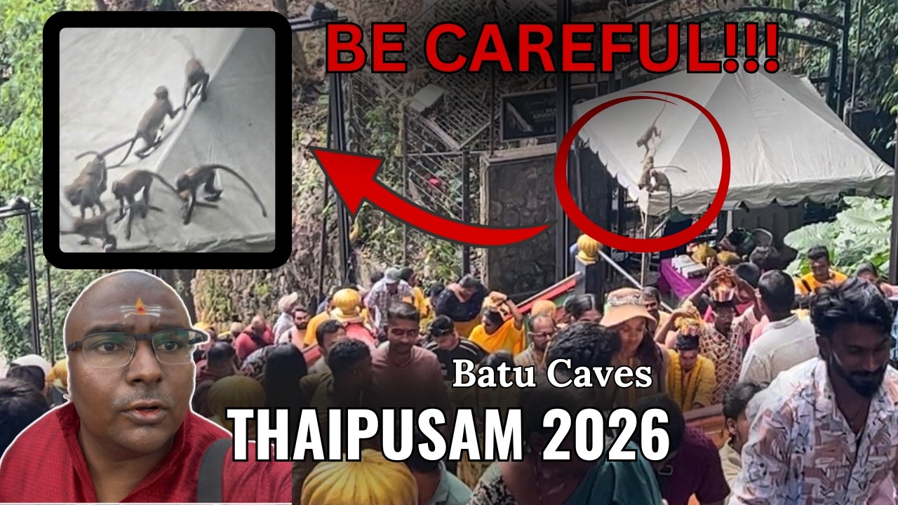 Thaipusam 2026 ~ The UNEXPECTED TWIST inside the Batu Caves Temple (1/2/2026)