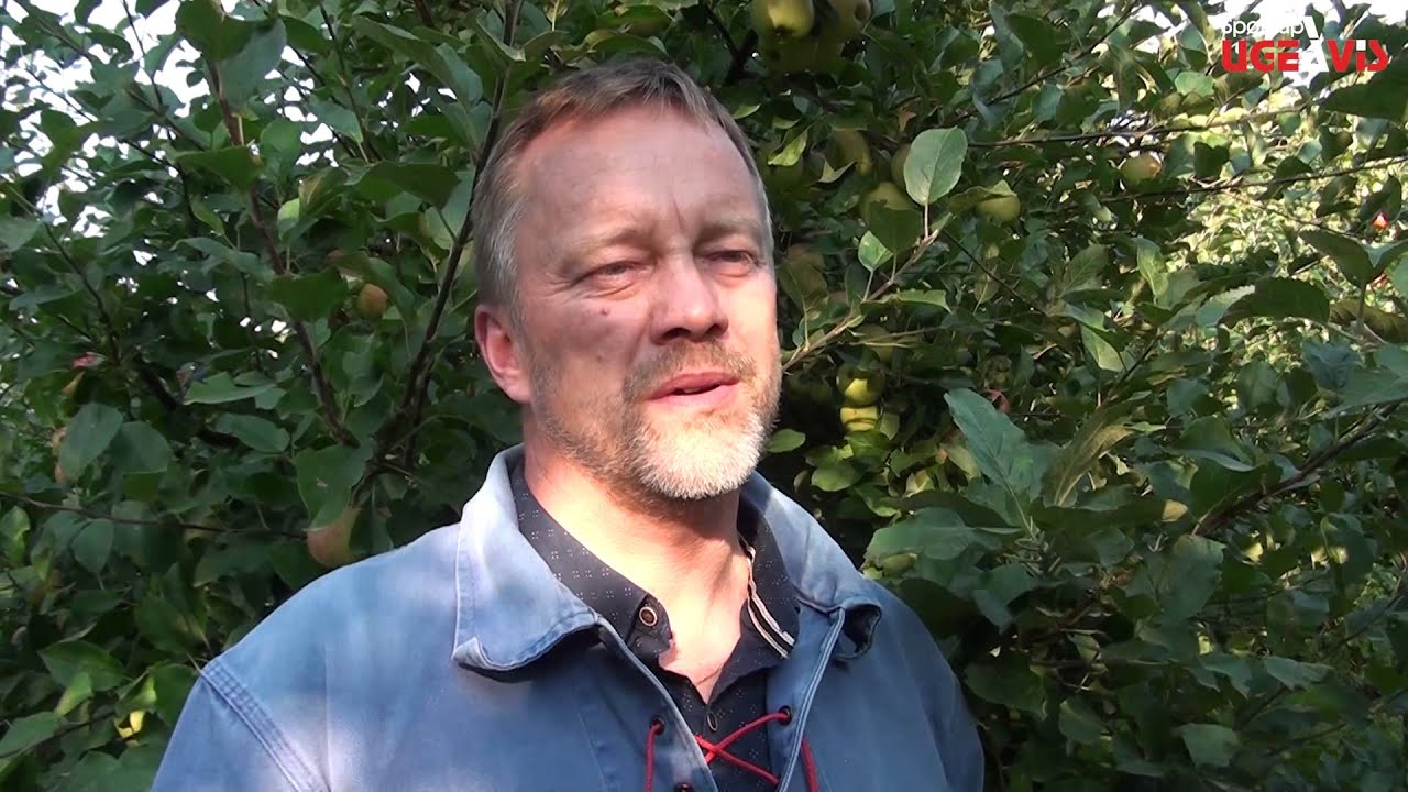 Æblefestival 2014 i Rødding