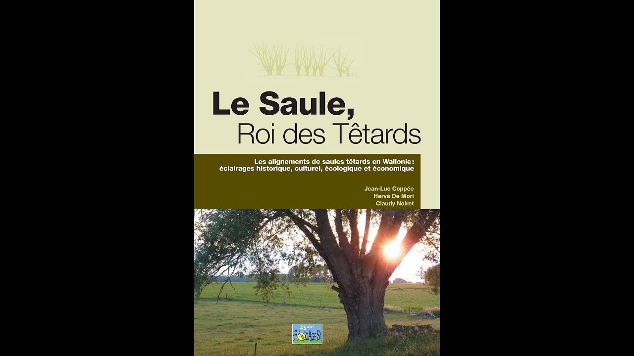 Le Saule, Roi des Têtards