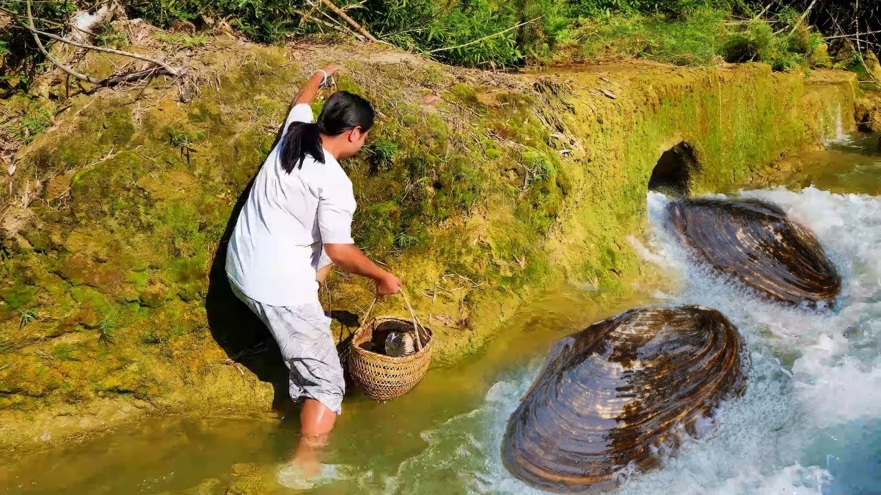 A large number of pearl oysters rushed out of the outlet, and this secret was discovered by the girl