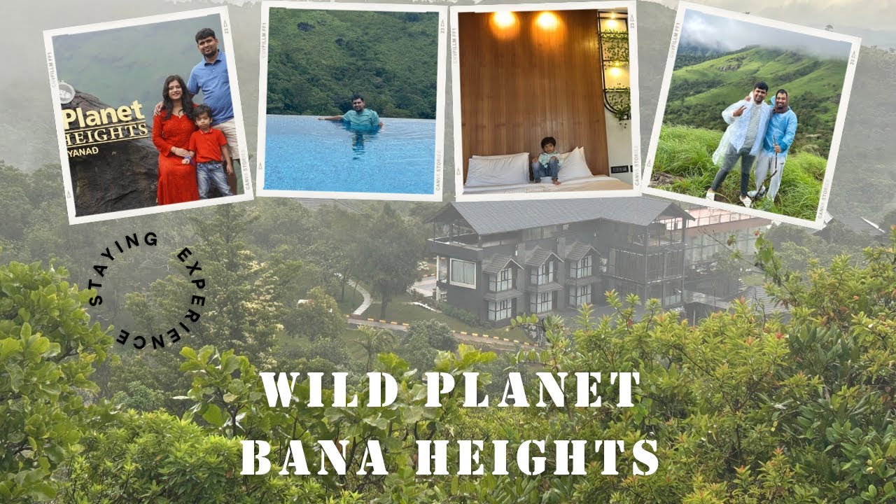A Perfect Luxury Resort for Weekend Getaway | Wild Planet Bana Heights | Family Resort in Wayanad