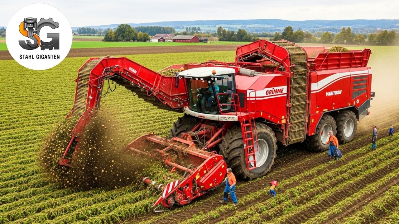 91 MONSTER von ROPA HOLMER und GRIMME in der WILDEN Rüben und Kartoffelernte