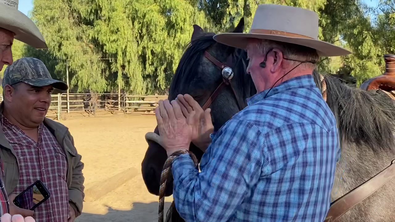 Agua Dulce Horsemanship Clinic - Riding a Colt in a Halter & Fitting the Bosal