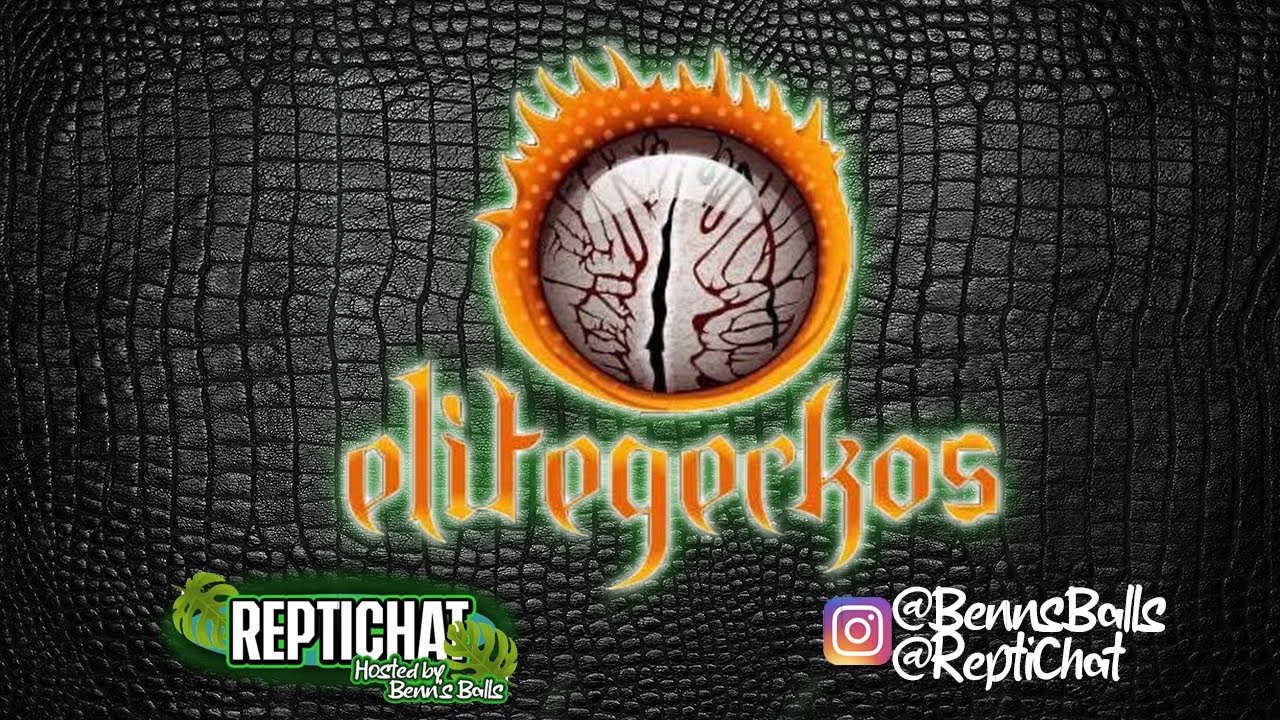 ReptiChat #Ep 13 - George from EliteGecko and the Morphtastic Podcast