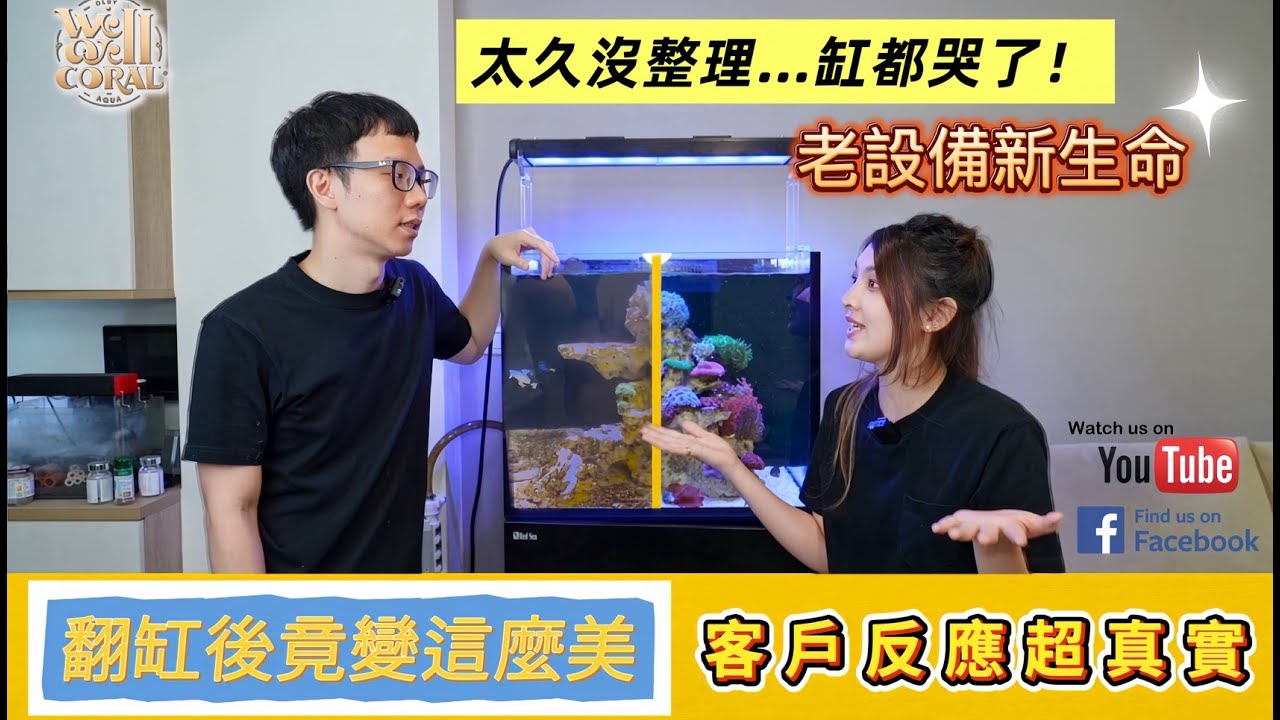【重新愛上這缸的瞬間，差點忘了它有多美！！｜台中客戶翻缸分享】#翻缸紀錄 #魚缸翻新  #客戶心聲 #海水魚缸 #專業翻缸 #水族館 #珊瑚