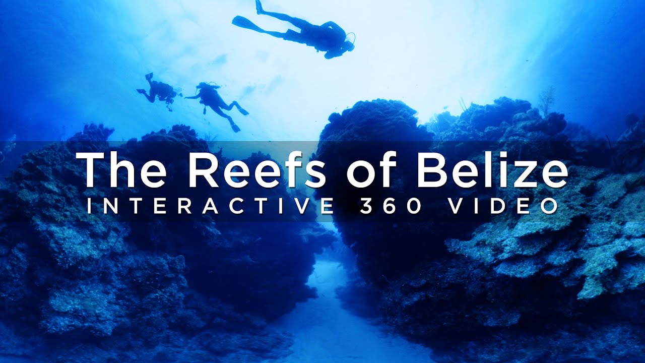 The Reefs of Belize - 360&deg; Video