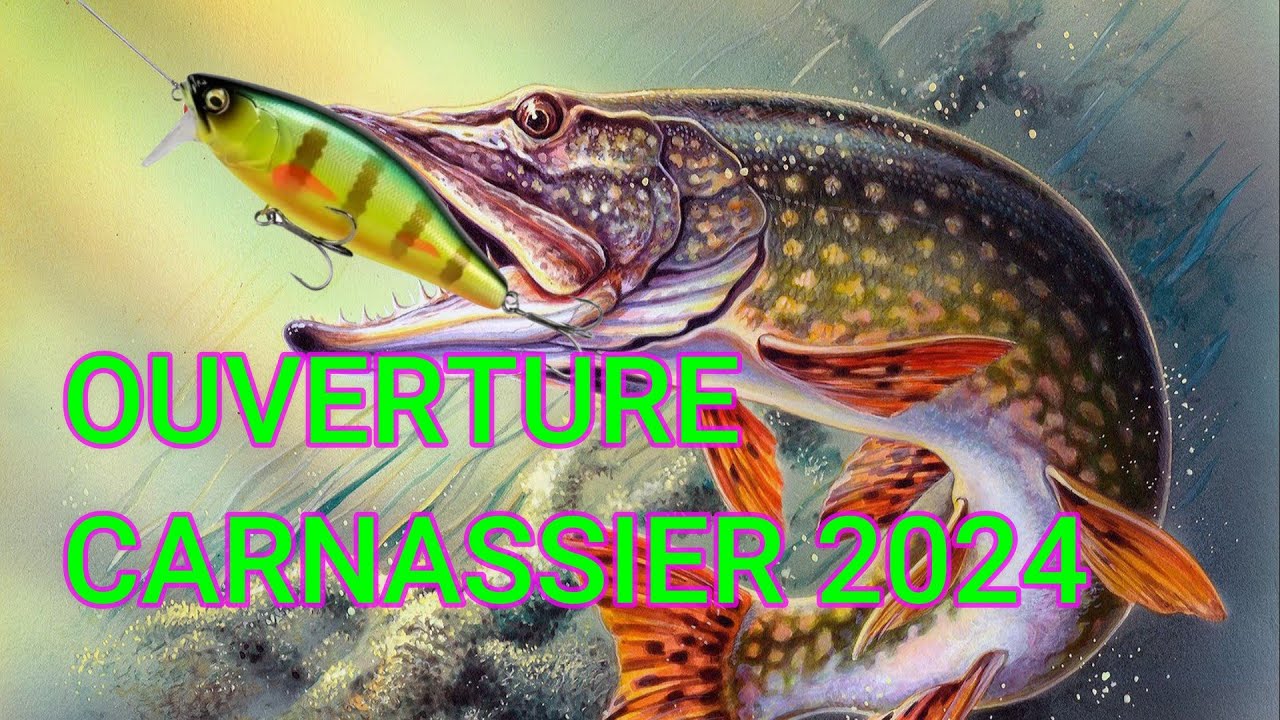 ouverture carnassier 2024 au I JACK ALIEXPRESS