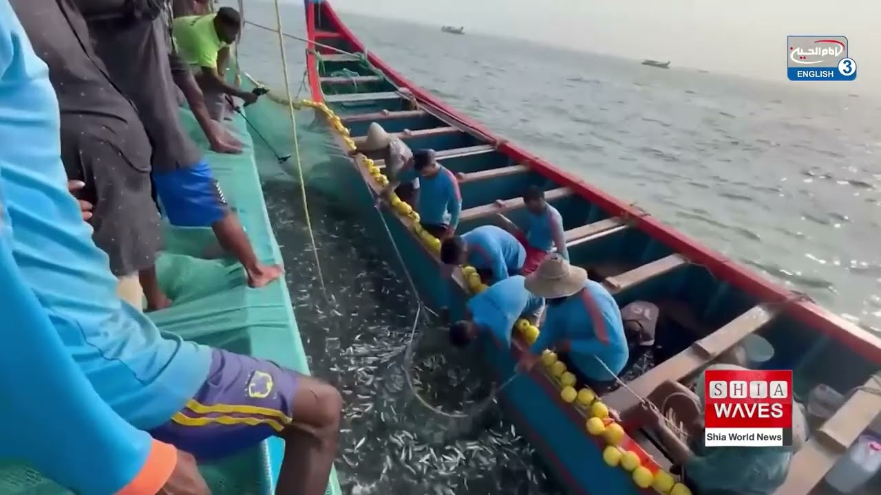 High Seas Biodiversity Treaty Enters into Force After Years of Negotiation