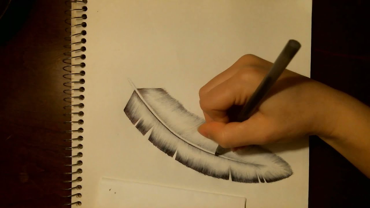 Time Lapse Drawing  Feather