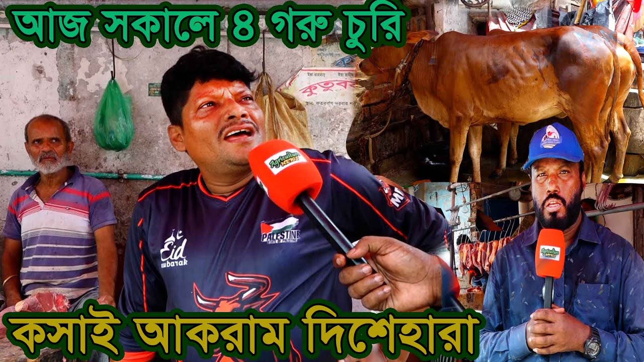 মিরপুরে ৪ গরু চুরি! কসাই আকরাম দিশেহারা | Agriculture News