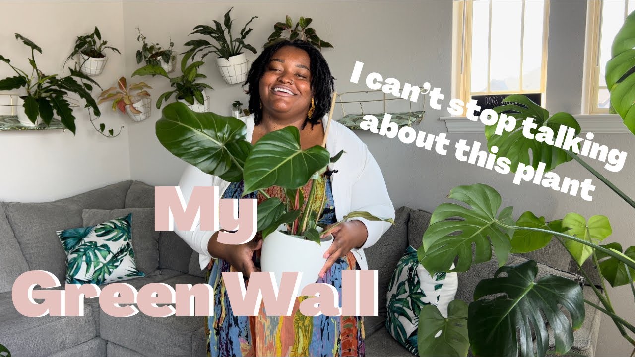 NEW Houseplant Wall Tour  / How I made my plant wall + custom plant shelves