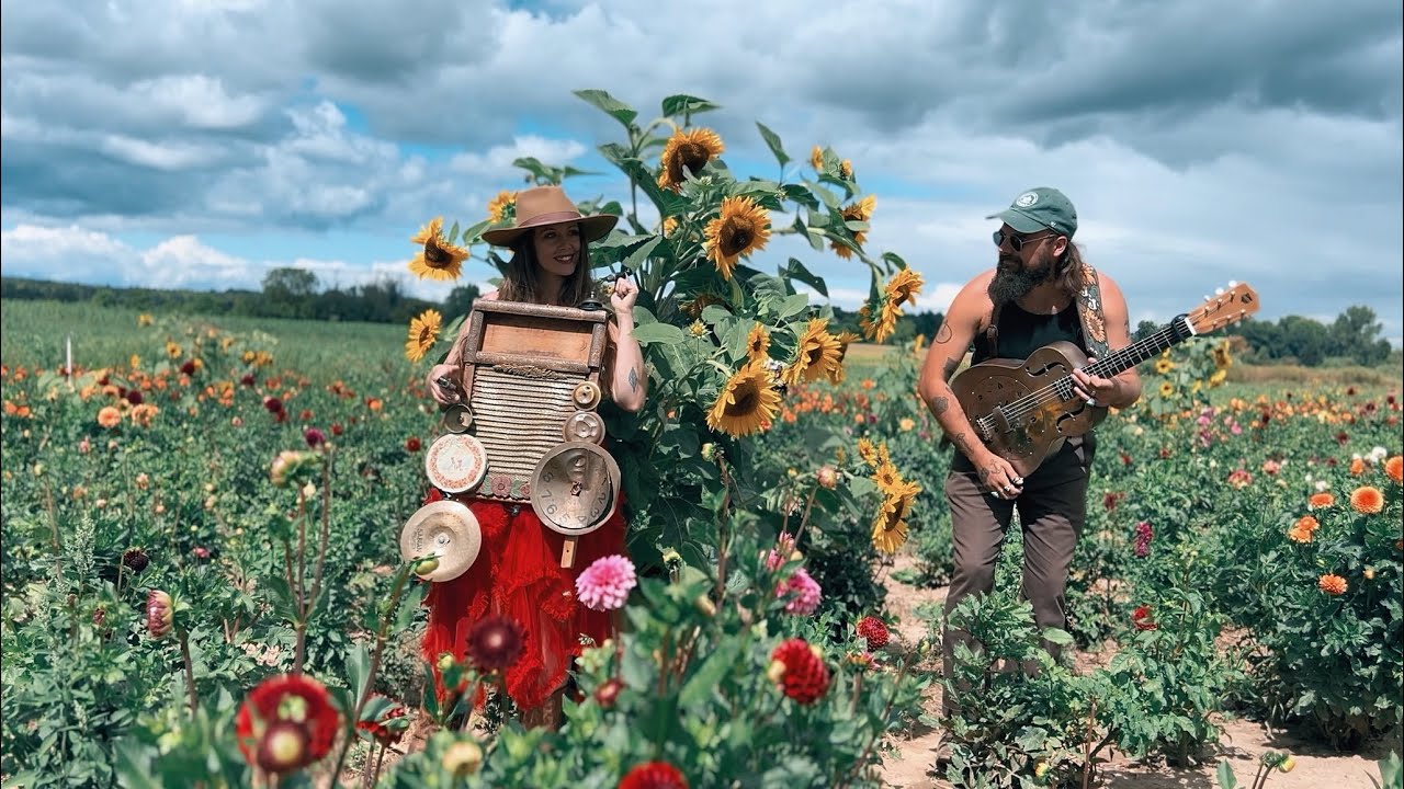 Tom Cat Blues - The Vaudevillian