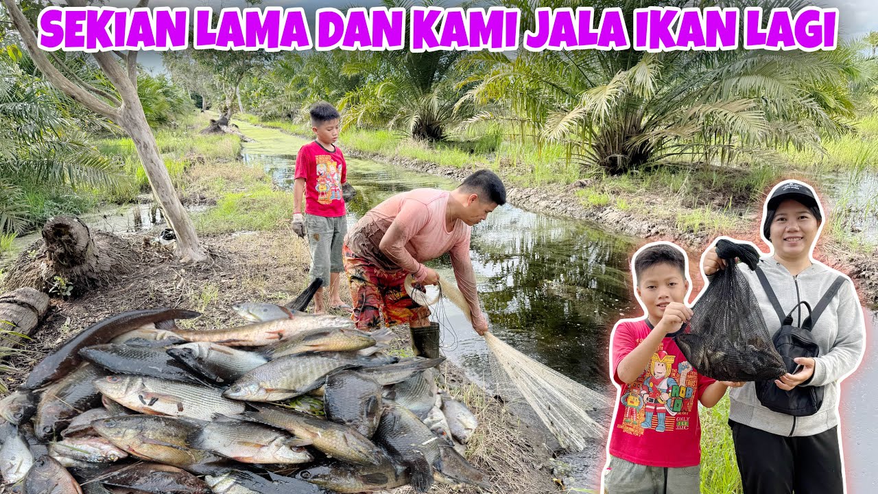 JALA IKAN, DI PARIT KECIL INI TERNYATA BANYAK IKAN NYA
