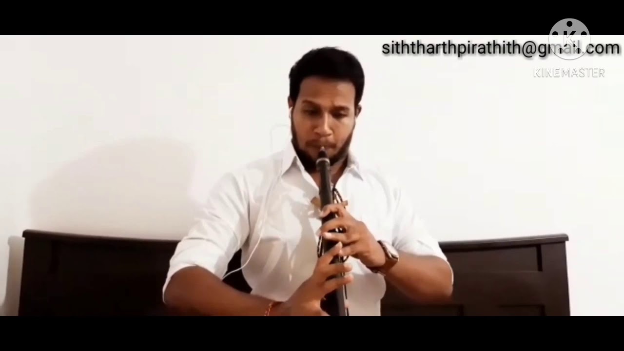 அகரம் இப்போ சிகரம் | agaram ippo sigaram | siththarth| pirathith | nadaswaram