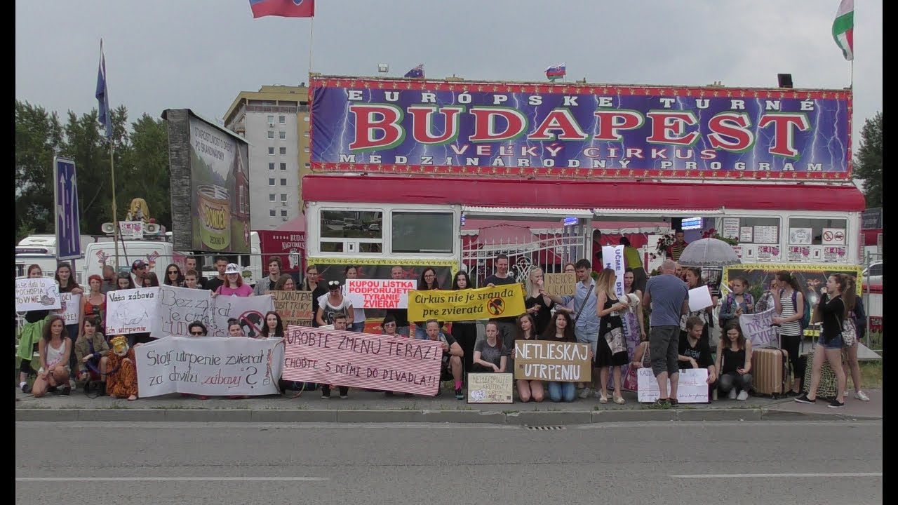 Cirkus Budapešť - protest