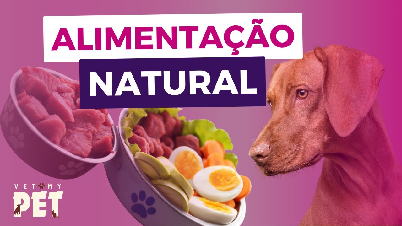 A VET ensina: Como fazer ALIMENTAÇÃO NATURAL para CACHORRO e GATO - de forma SEGURA