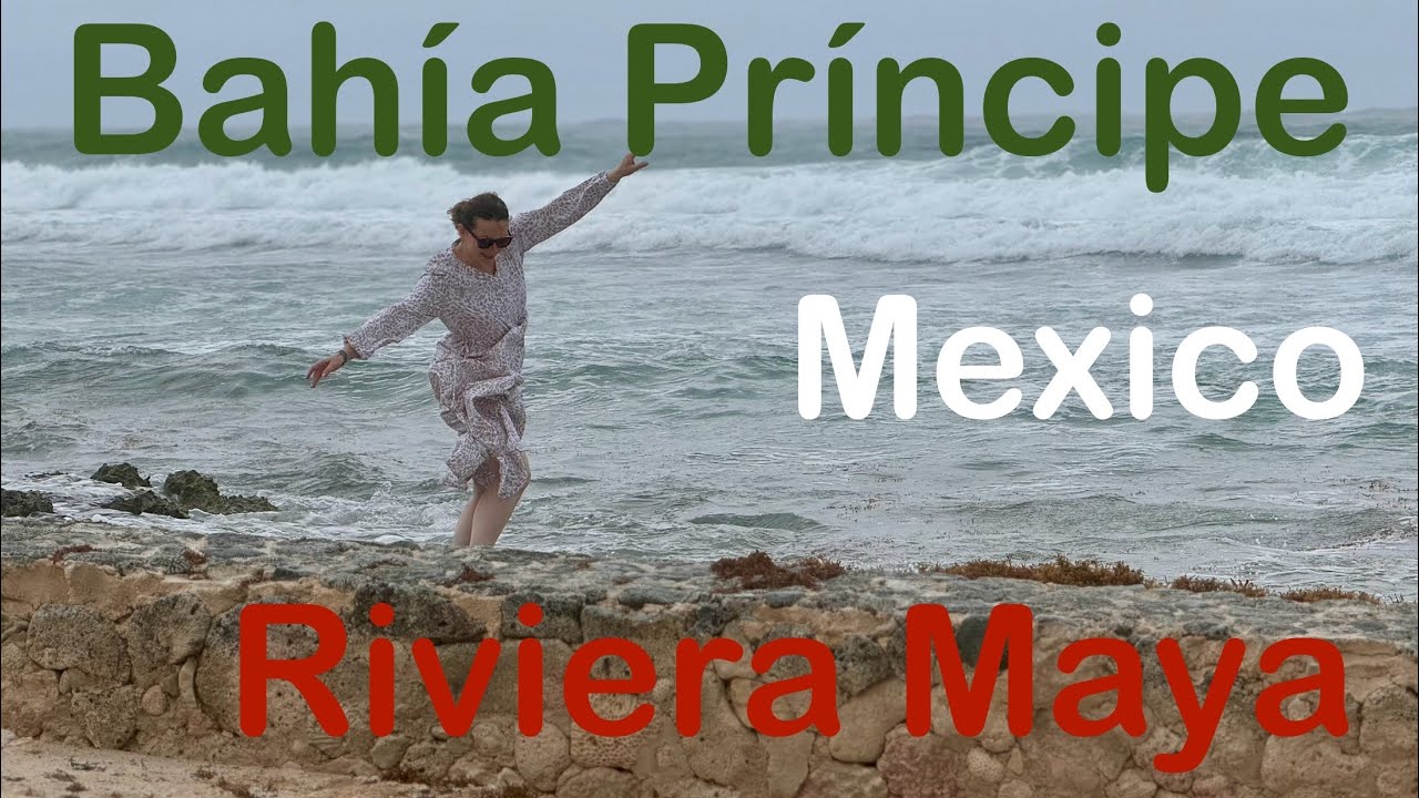 Our recent trip to Mexico 🇲🇽 Bahía Principe resort in Riviera Maya. Flora and Fauna.