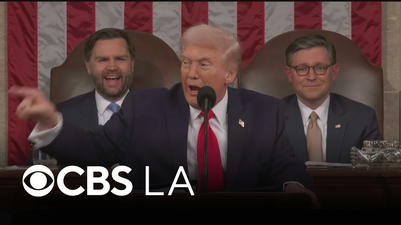 Tempers flare during President Trump's 2026 State of the Union address