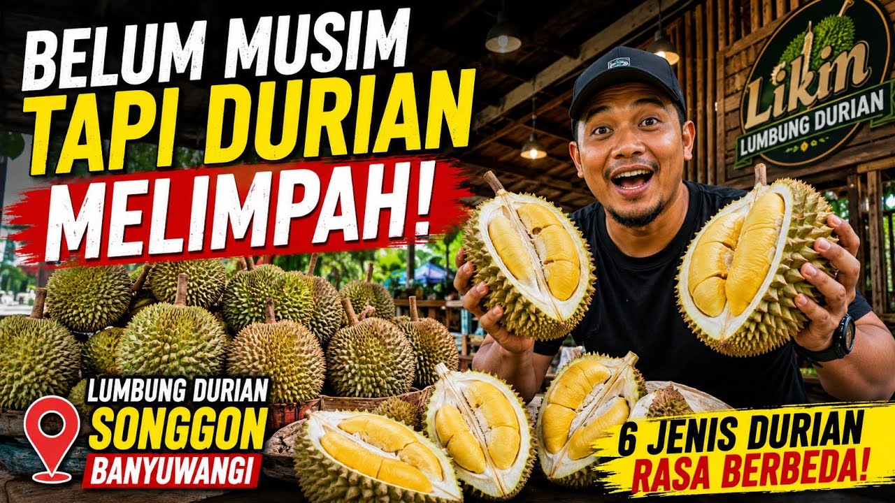 Likin Lumbung Durian Songgon Banyuwangi | Surga Durian Lokal Berkualitas