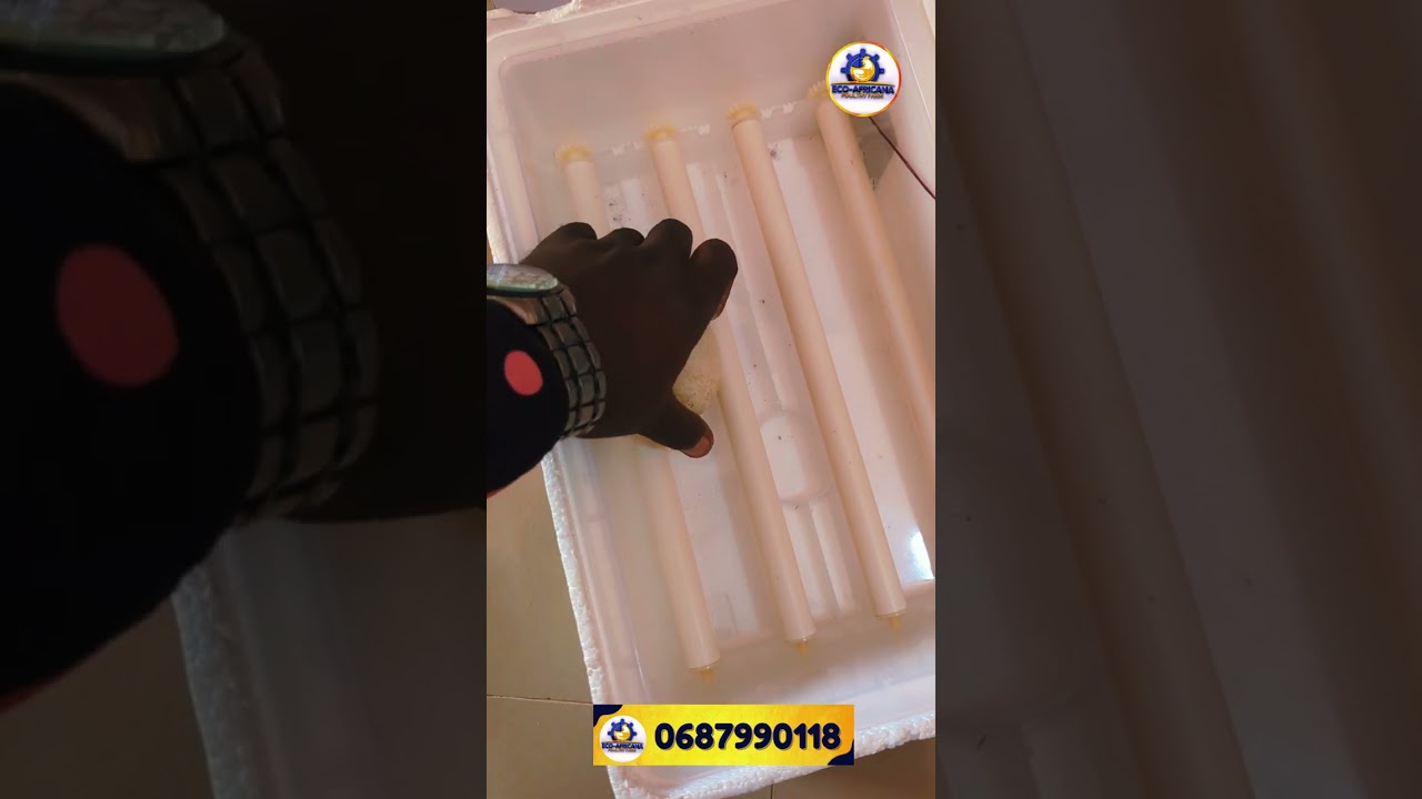 MAYAI YA BATA BUKINI TUKIFANYIA TESTING KWENYE INCUBATOR MAYAI 30.
