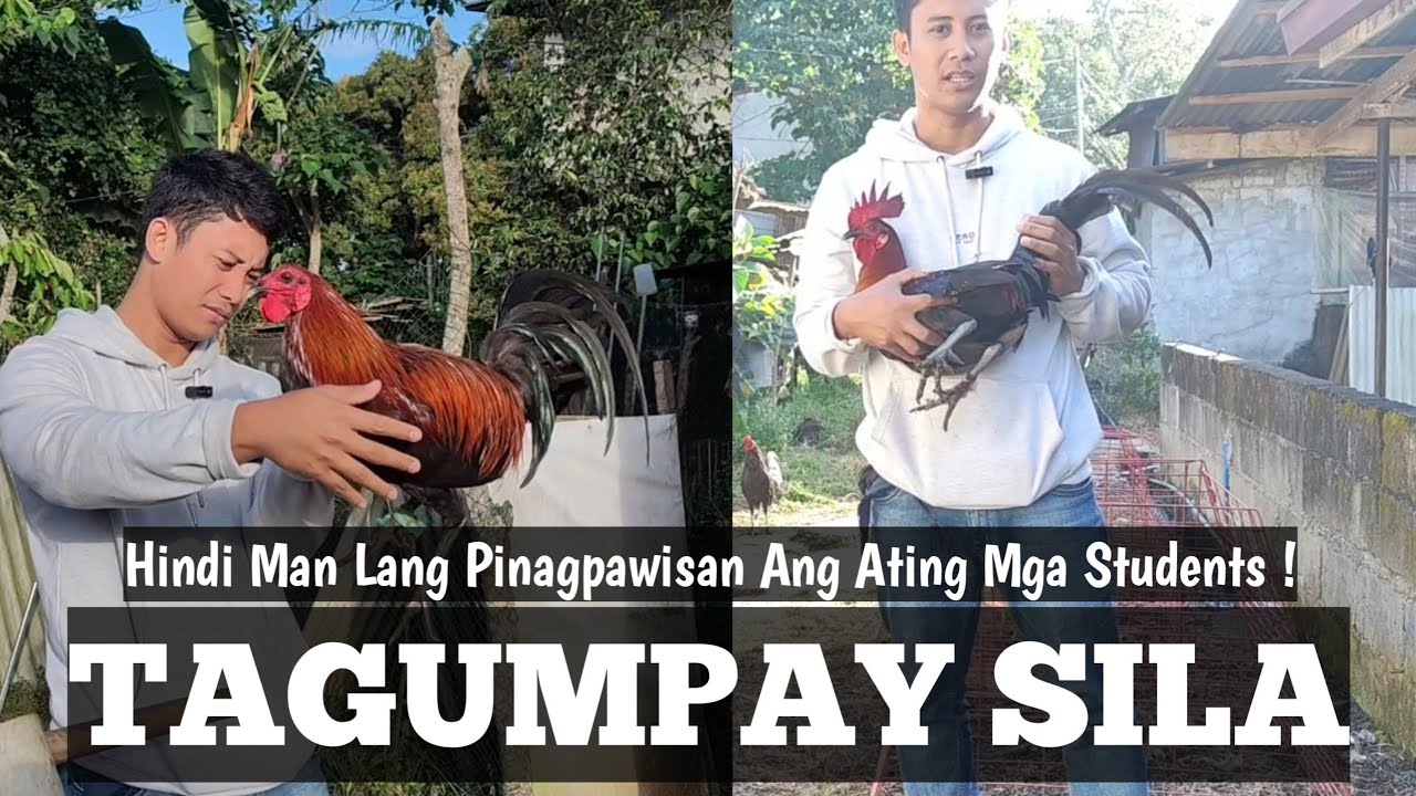 SBR ni Mamay , Umuwing Masaya | Linyada ng mamay 