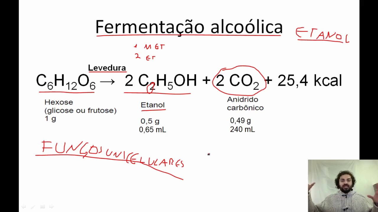 Fermentações em Enologia - Parte 1: Fermentação Alcoólica