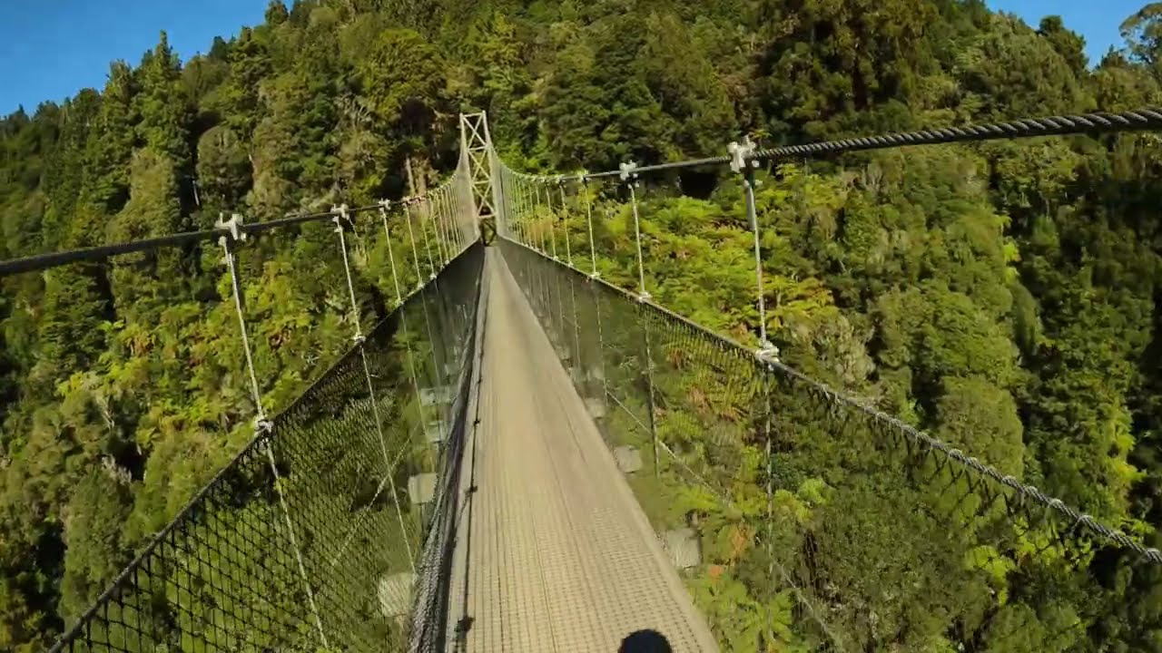 Timber Trail cycle treck.