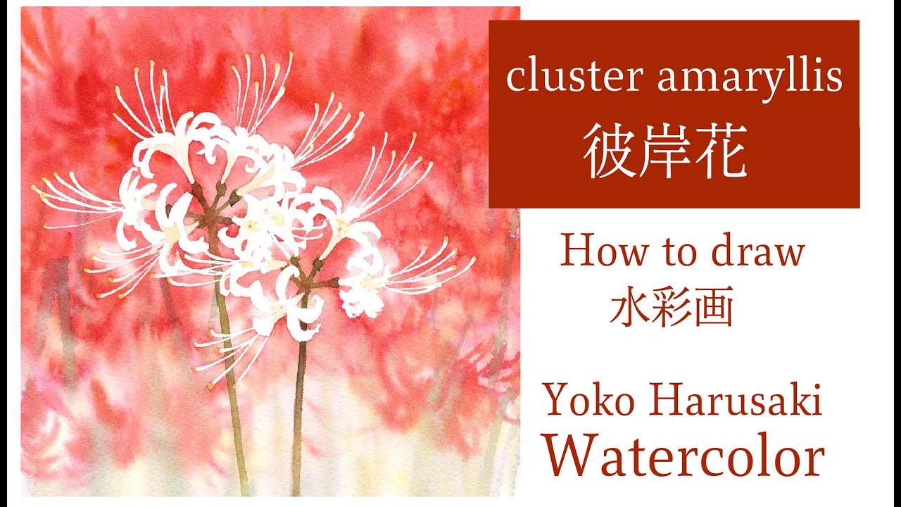 彼岸花　Yoko Harusaki  Watercolor　水彩画