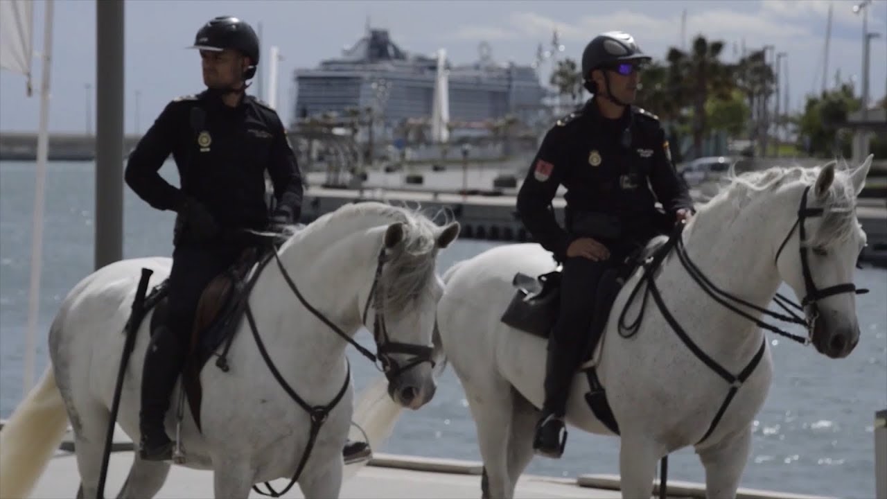 Unidad Especial de Caballería CNP  Valencia