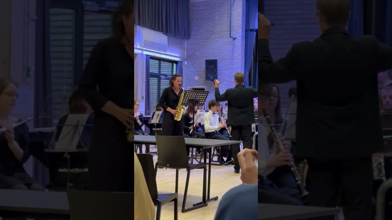 Irish Tale - T. Hondeghem (alto sax soloist & concert band version)
