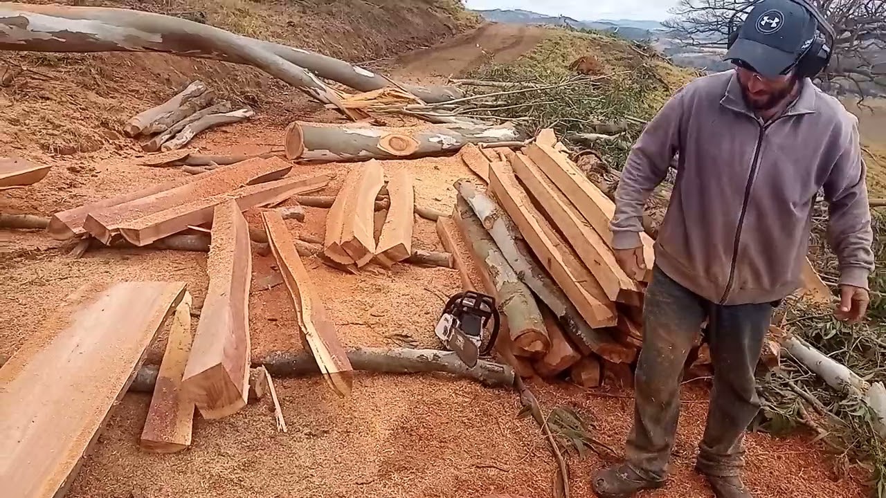 Sthil 038 av magnum .maquininha apitano fino na desdobra de lasca 💪🙏✊✊👏👏
