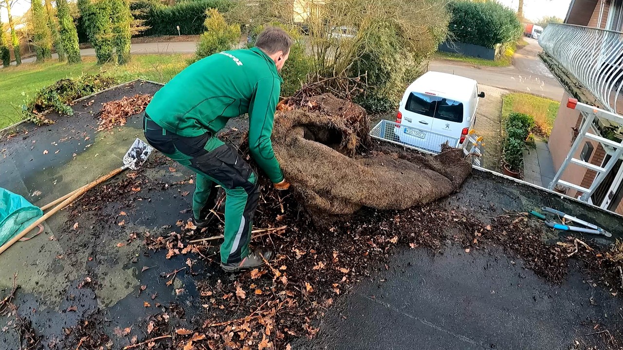 Can You HELP ME? Client's Neighbor Asked Me To REMOVE Ivy From His Garage