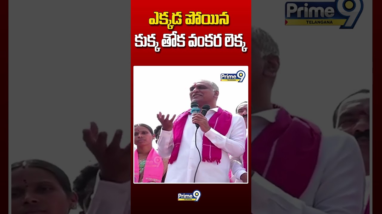 ఎక్కడ పోయిన కుక్క తోక వంకర లెక్క #harishrao #cmrevanthreddy #viralvideo #kcr #brs #congress
