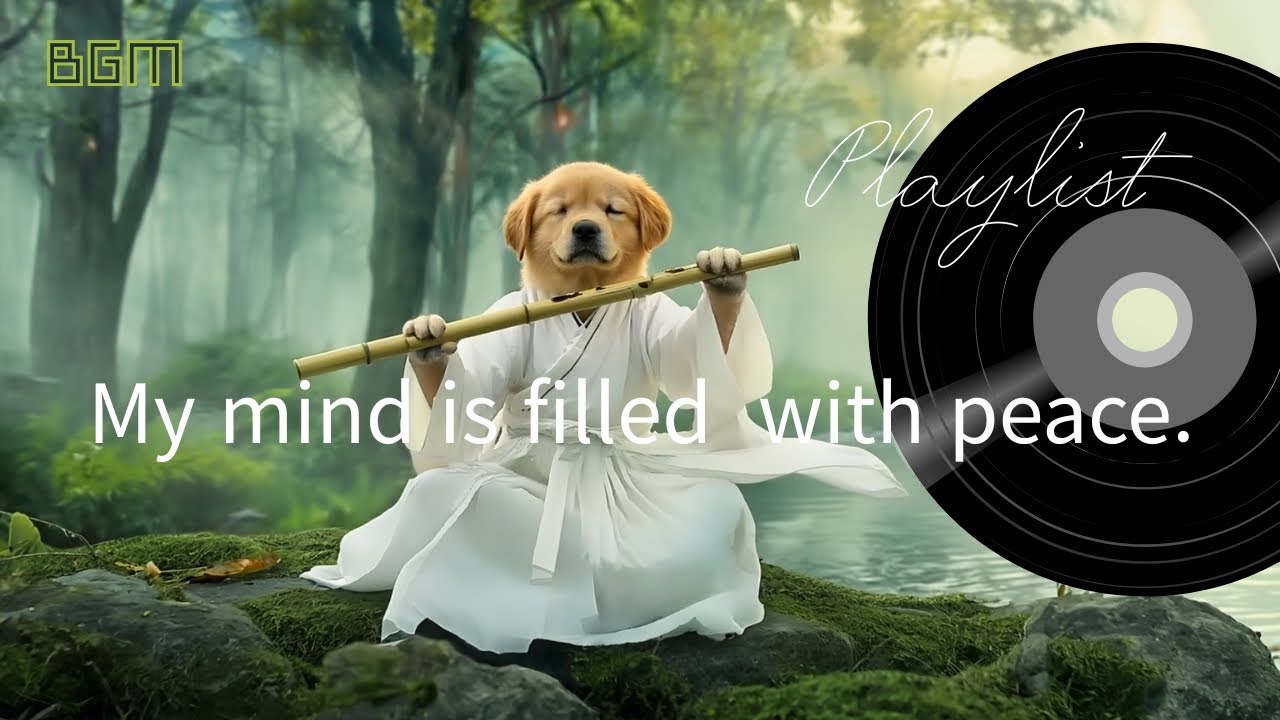 [BGM/Playlist]Soothing Bamboo Flute (수면음악/마음을 위로하는 대나무 연주곡 )#playlist #bgm #healingmusic #goodluck