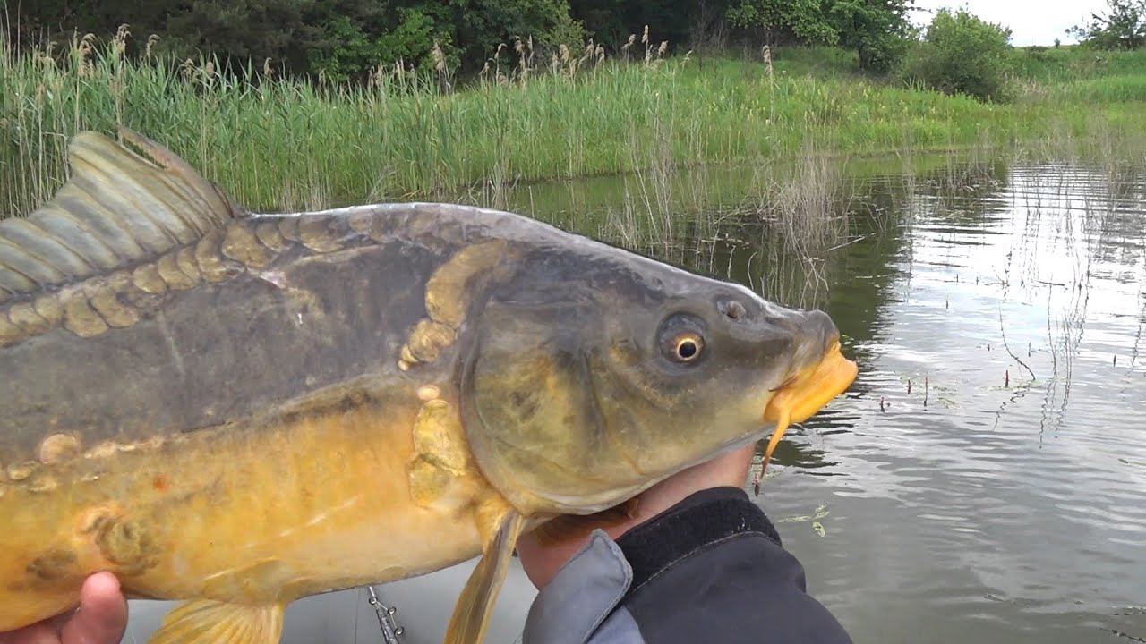 На кивок з човна \ село  Русів