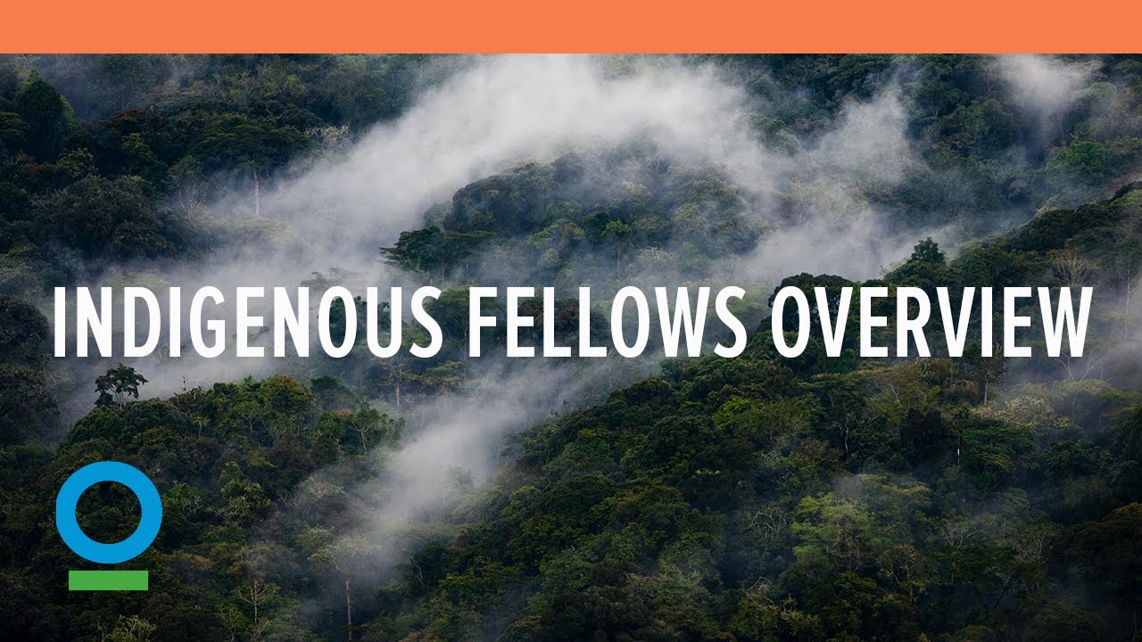 Indigenous Fellows Overview | Conservation International (CI)