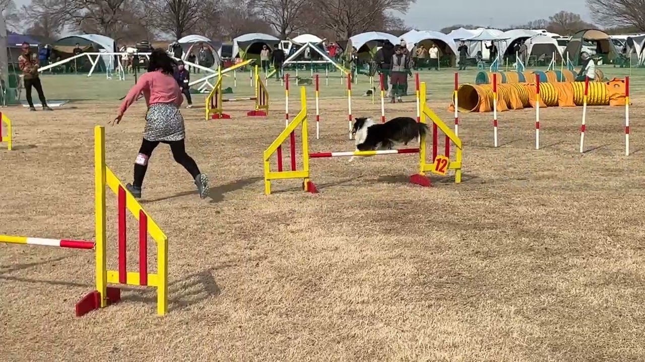 リズ20260214(2JP)