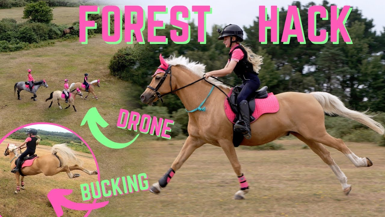 GO PRO + DRONE FOREST HACK WITH POPCORN!