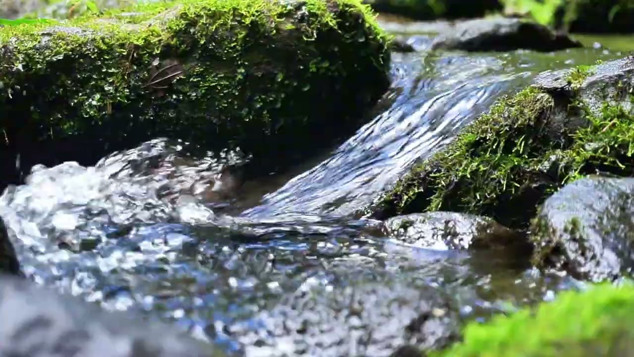 Healing Nature Sounds
