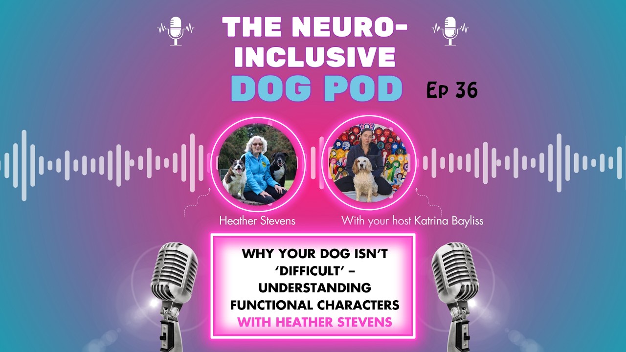 Why Your Dog Isn’t ‘Difficult’ – Understanding Functional Characters with Heather Stevens